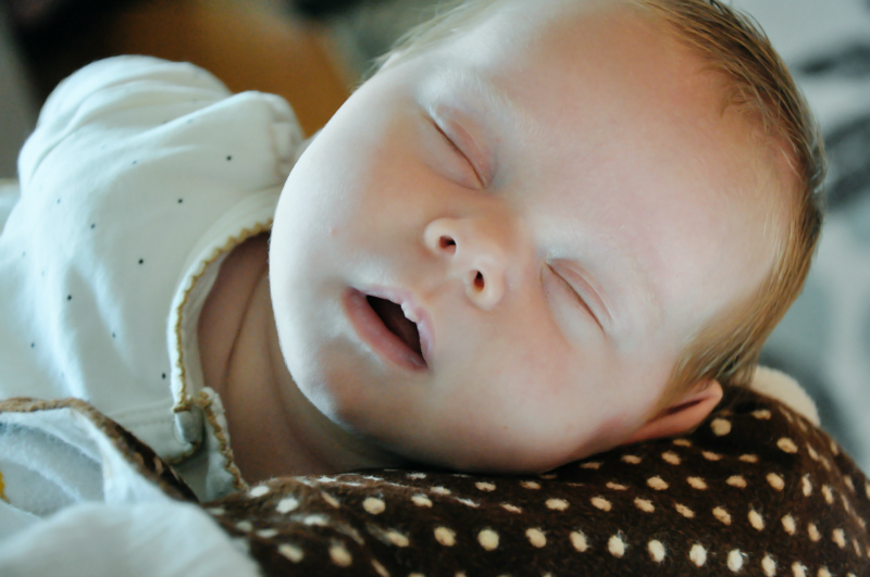 Sleeping Sweden @ Mt. Hope Chronicles