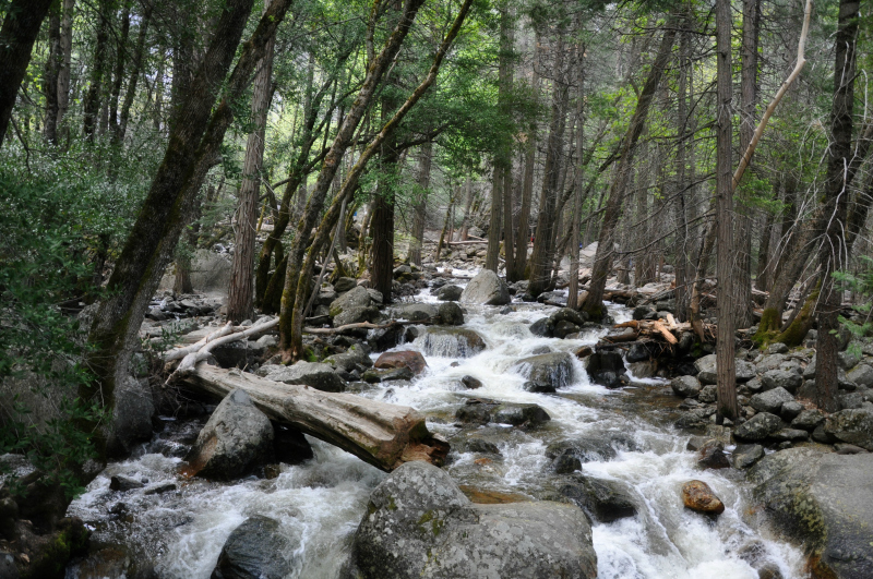 Yosemite Bridalveil Fall Trail @ Mt. Hope Chronicles