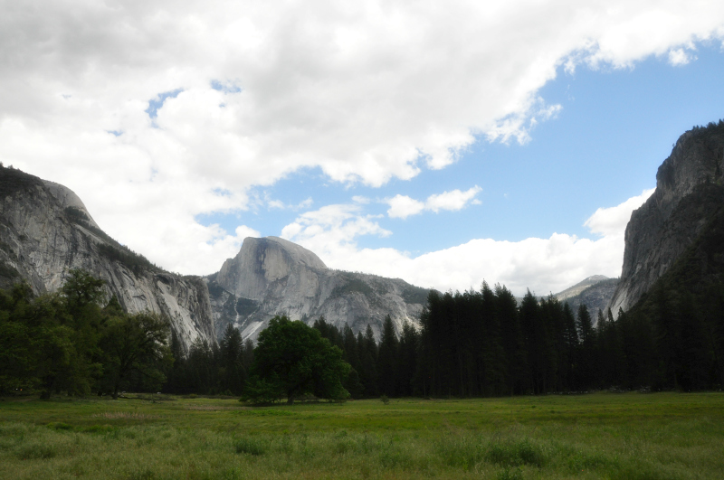 Yosemite Cook's Meadow @ Mt. Hope Chronicles