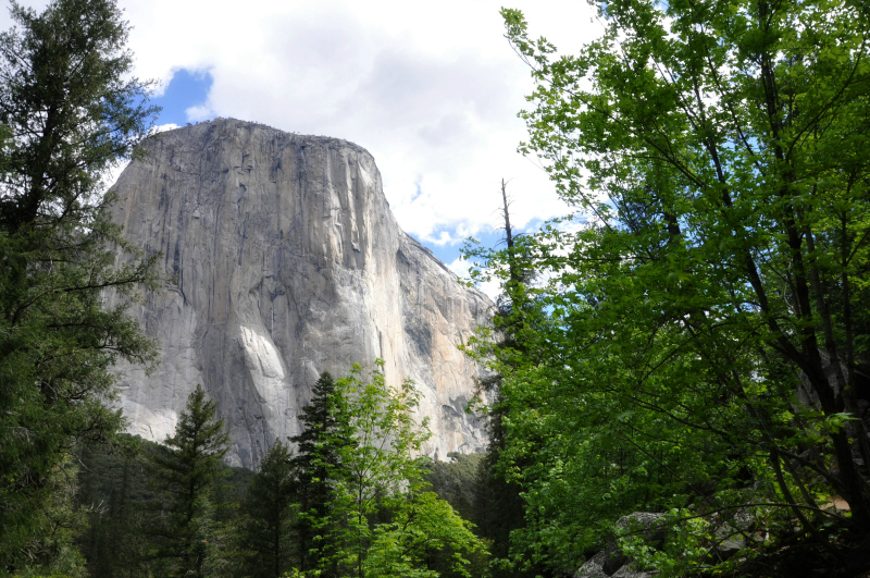 Yosemite El Capitan @ Mt. Hope Chronicles