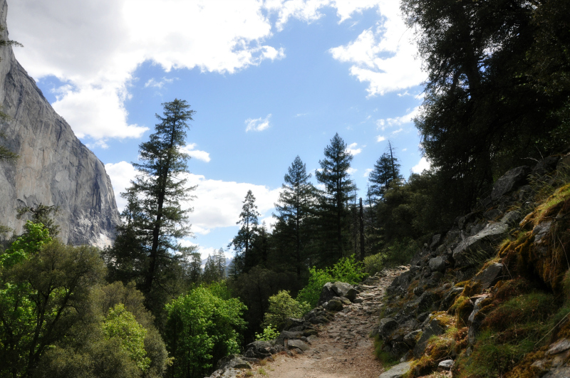 Yosemite Trail @ Mt. Hope Chronicles