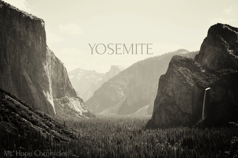 Yosemite @ Mt. Hope Chronicles