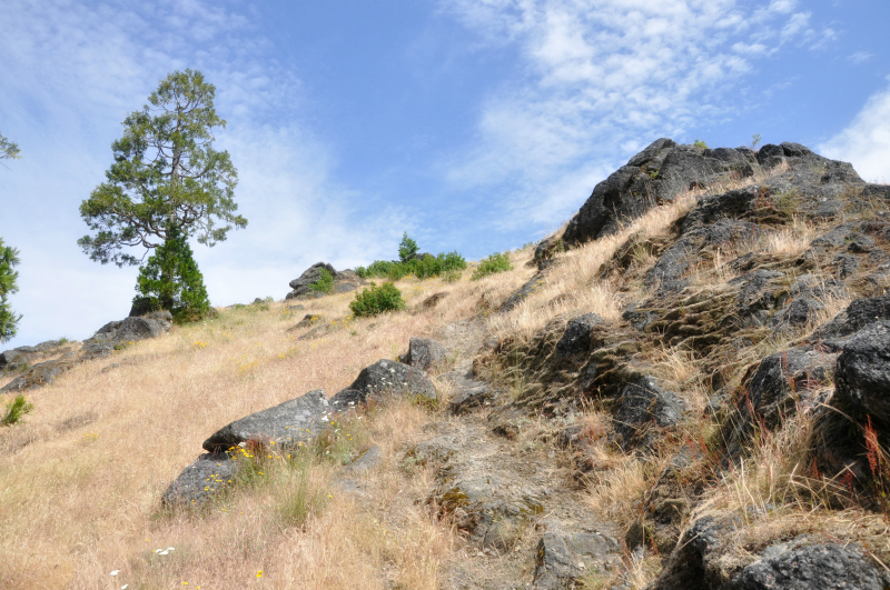 Spencer Butte 3 @ Mt. Hope Chronicles