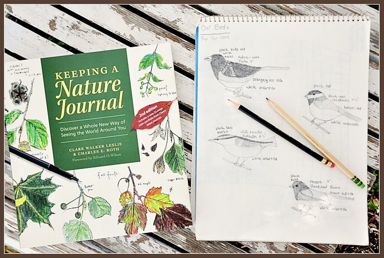 Nature Journal