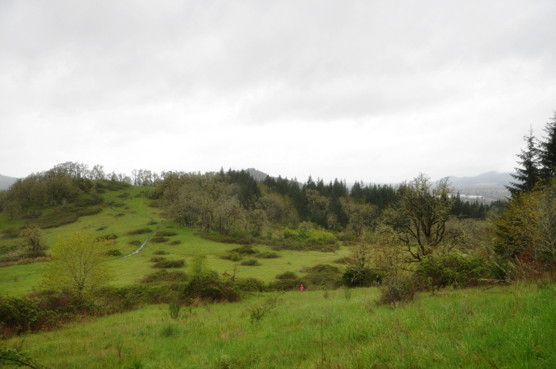 Mount Pisgah Trail @ Mt. Hope Chronicles