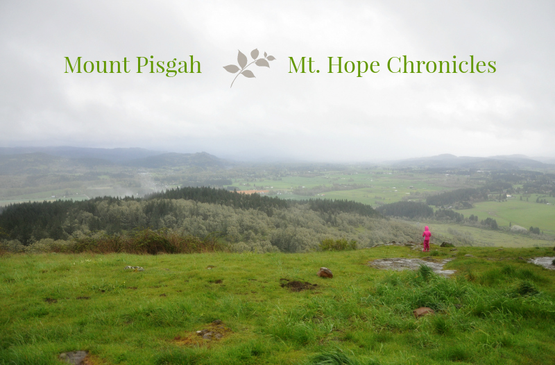 Mount Pisgah @ Mt. Hope Chronicles