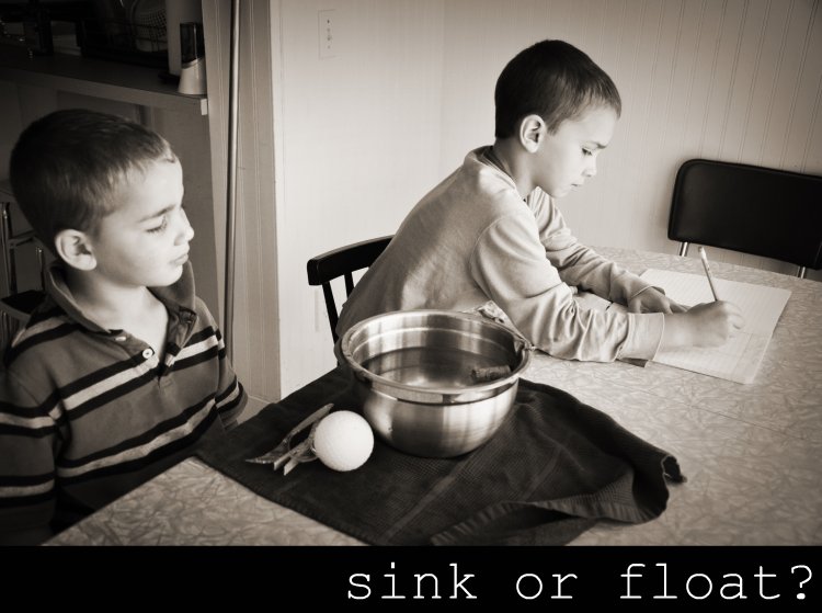 Sink or Float