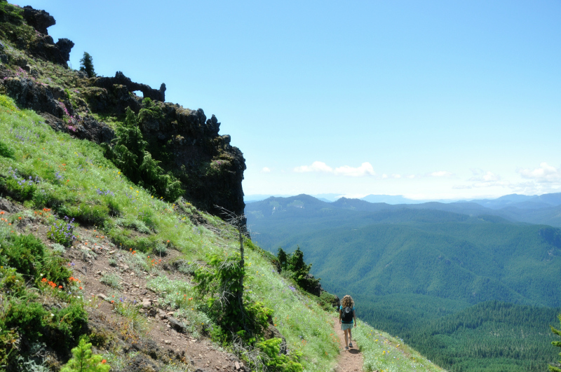 Iron Mountain Hike Descending @ Mt. Hope Chronicles