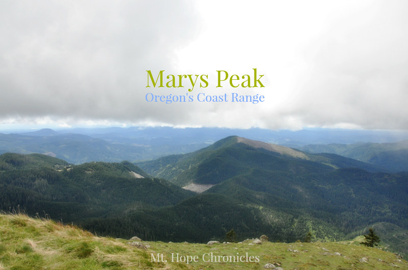 Marys Peak @ Mt. Hope Chronicles