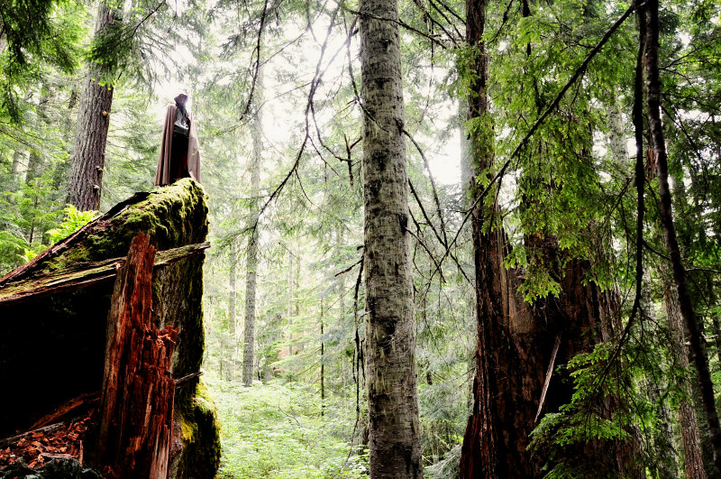 Iron Mountain Hike Cloaked @ Mt. Hope Chronicles