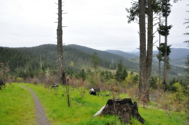 Peavy Arboretum @ Mt. Hope Chronicles