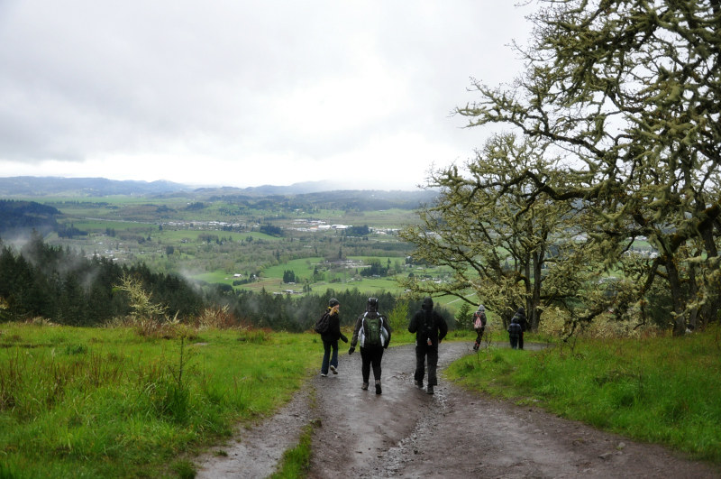 Pisgah Trail @ Mt. Hope Chronicles