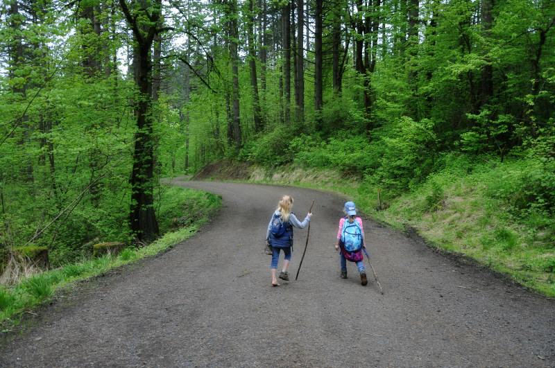 Hiking Peavy @ Mt. Hope Chronicles