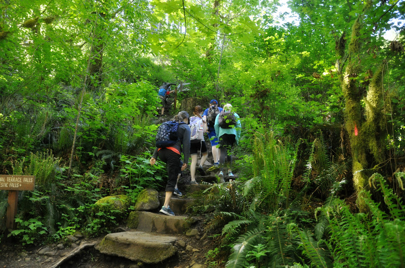 McDowell Creek Royal Terrace Falls Climb @ Mt. Hope Chronicles