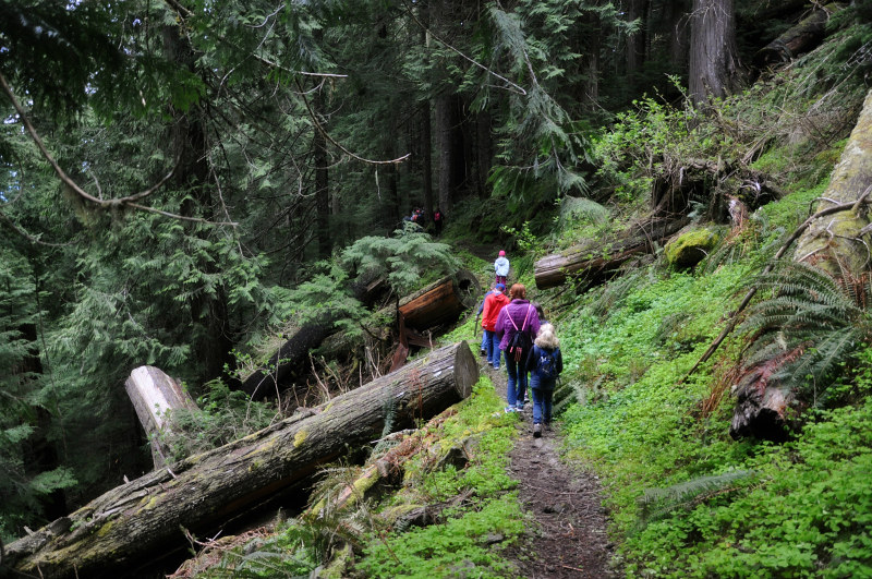 Marys Peak Hike @ Mt. Hope Chronicles