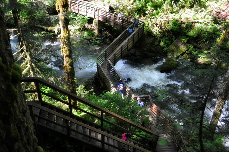 McDowell Creek Majestic Falls Climb @ Mt. Hope Chronicles