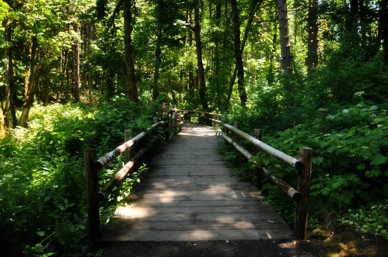 Plunkett Creek Bridge @ Mt. Hope Chronicles