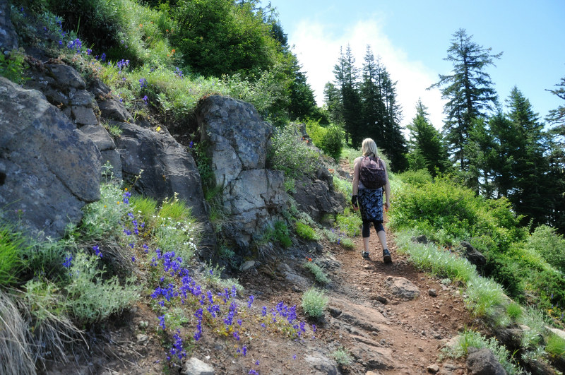 Iron Mountain Hike Higher @ Mt. Hope Chronicles