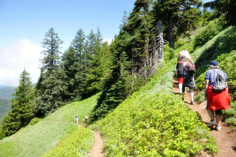 Iron Mountain Hike Switchbacks @ Mt. Hope Chronicles