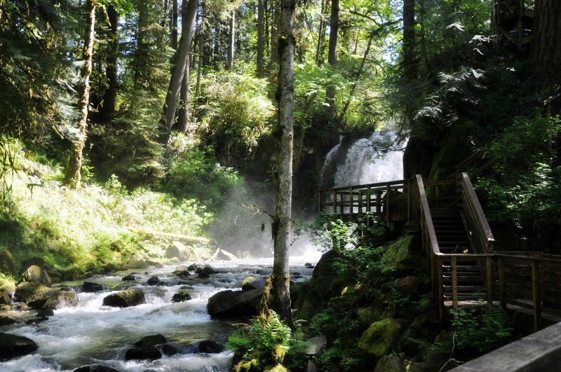 McDowell Creek Majestic Falls @ Mt. Hope Chronicles