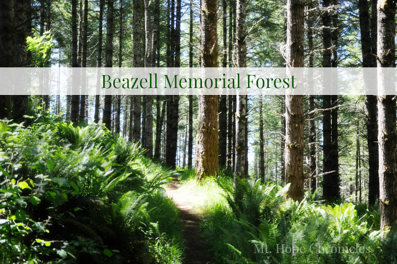 Beazell Memorial Forest @ Mt. Hope Chronicles