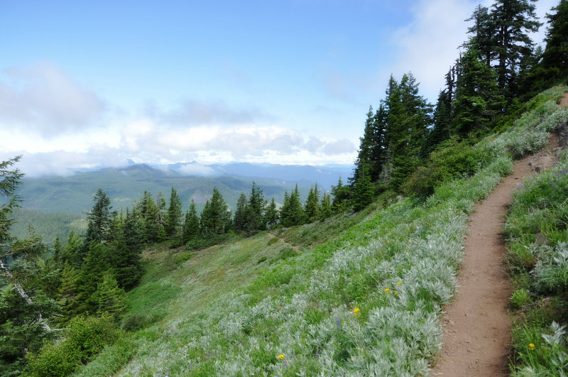 Iron Mountain Hike Even Higher @ Mt. Hope Chronicles