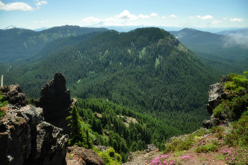 Iron Mountain Hike Summit View @ Mt. Hope Chronicles