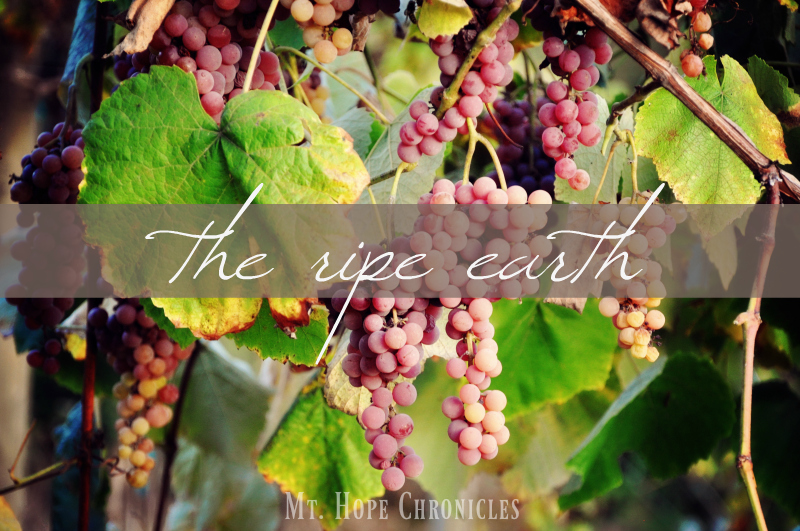 The Ripe Earth @ Mt. Hope Chronicles