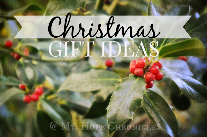 Christmas Gift Ideas @ Mt. Hope Chronicles