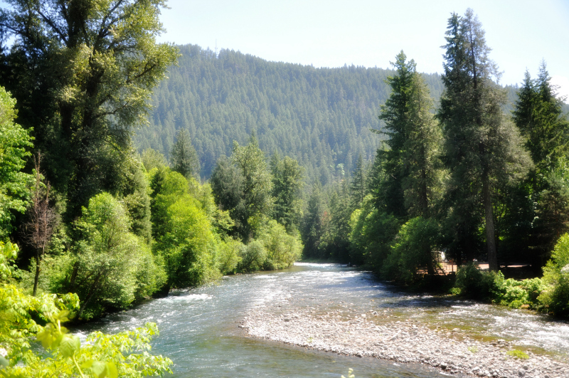 River View @ Mt. Hope Chronicles