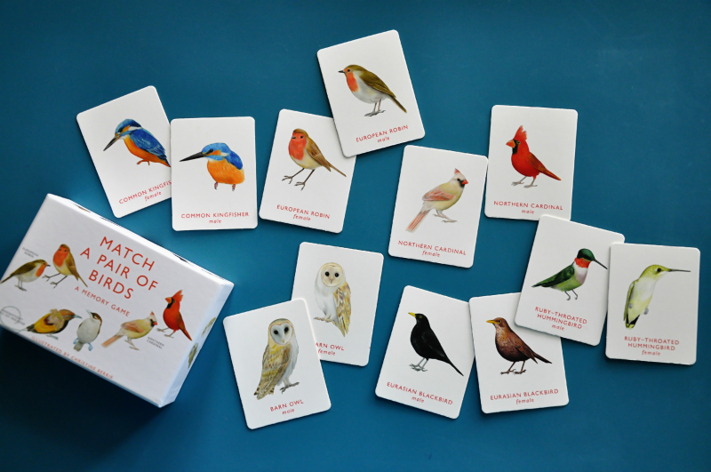 Bird Matching Game @ Mt Hope Chronicles