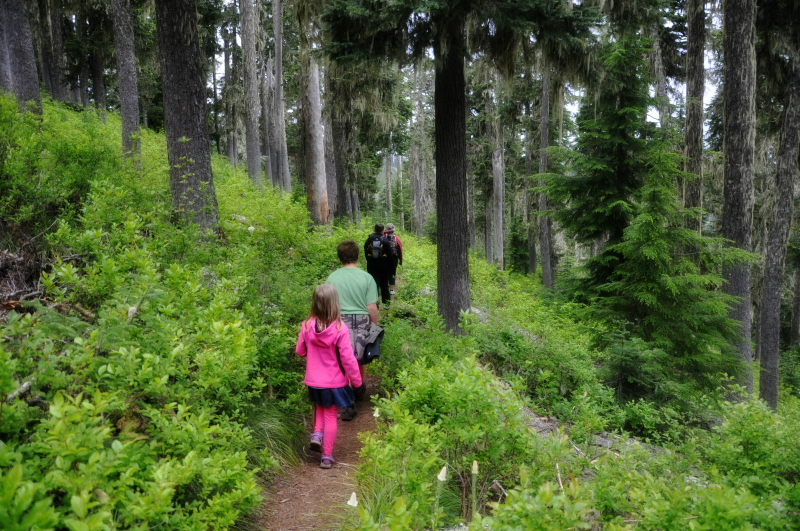 Triangulation Peak Hike 18 @ Mt. Hope Chronicles