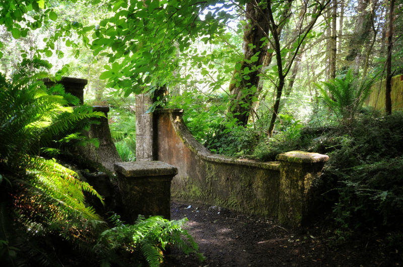 Entering the Secret Garden @ Mt. Hope Chronicles