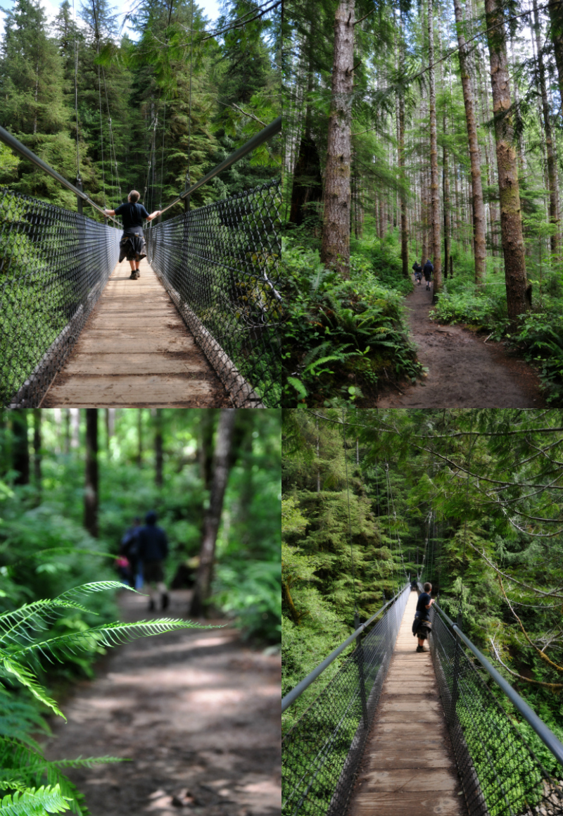 Drift Creek Falls Hike 7 @ Mt. Hope Chronicles