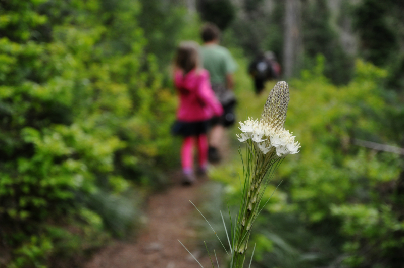 Triangulation Peak Hike 19 @ Mt. Hope Chronicles