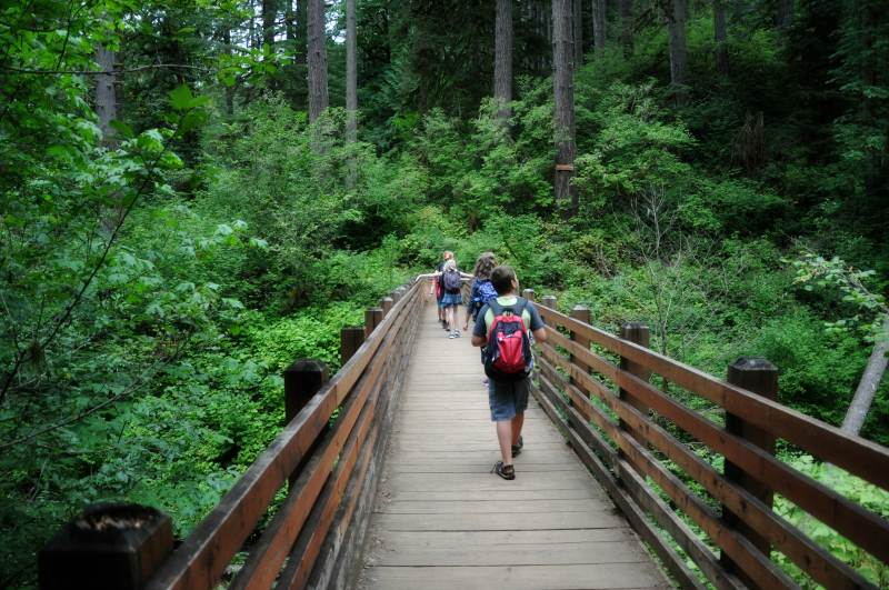 McDowell Creek Hike @ Mt. Hope Chronicles