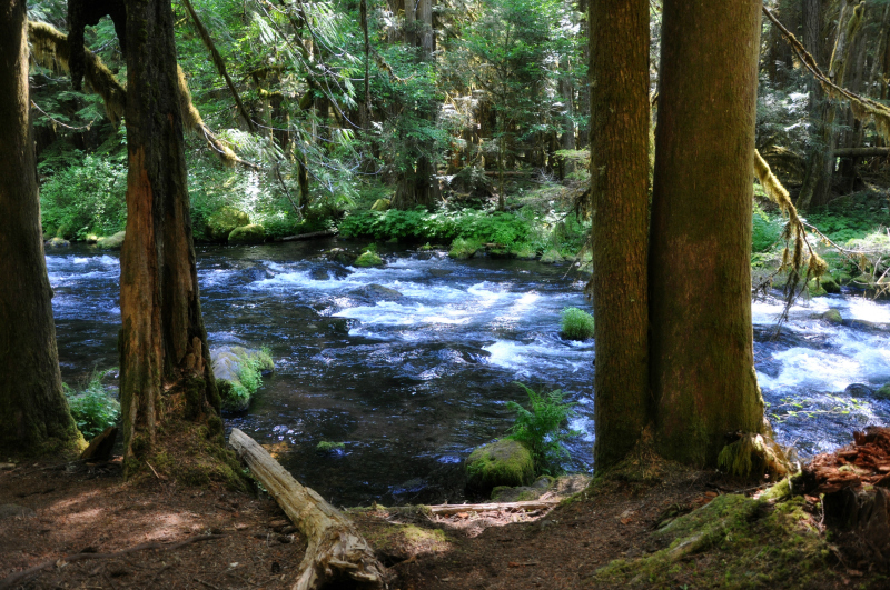 Blue Pool Hike 1 @ Mt. Hope Chronicles