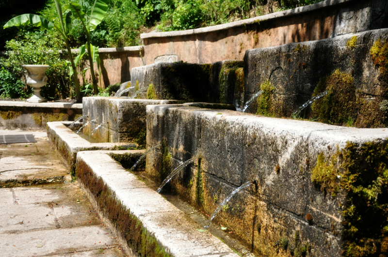 Fountain @ Mt. Hope Chronicles