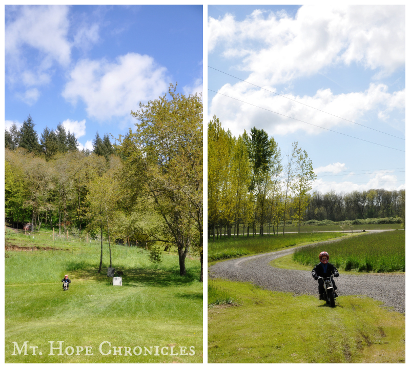 Dirt Bike Trail at Mt. Hope Chronicles