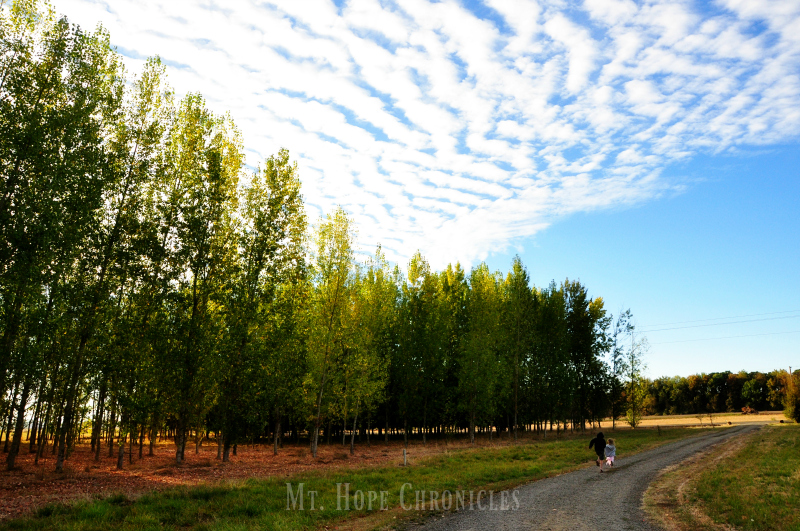 The Heavens Declare @ Mt. Hope Chronicles