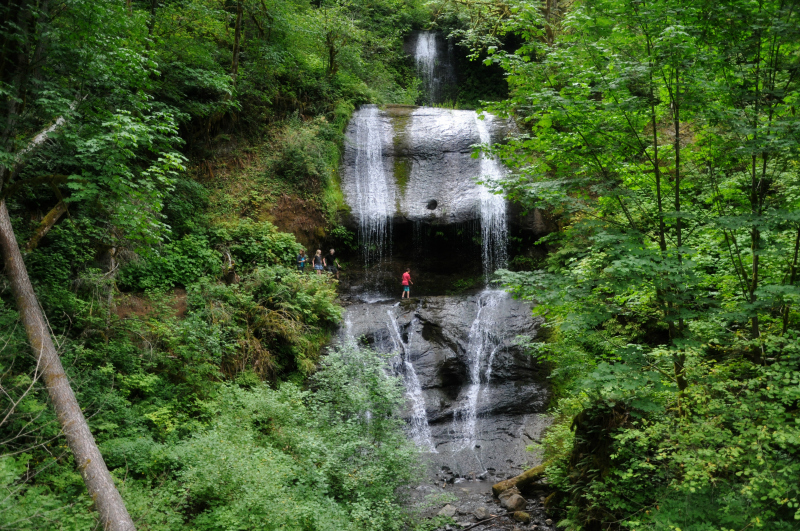 McDowell Creek Hike 2 @ Mt. Hope Chronicles