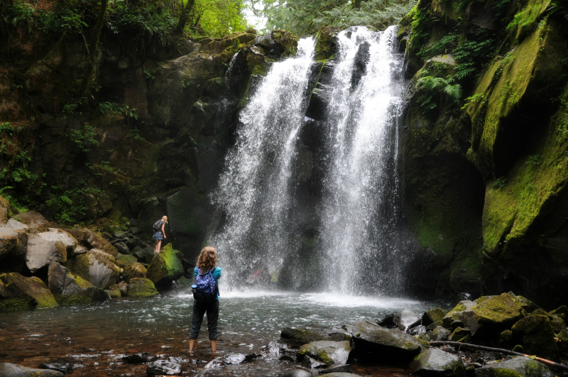 McDowell Creek Hike 5 @ Mt. Hope Chronicles