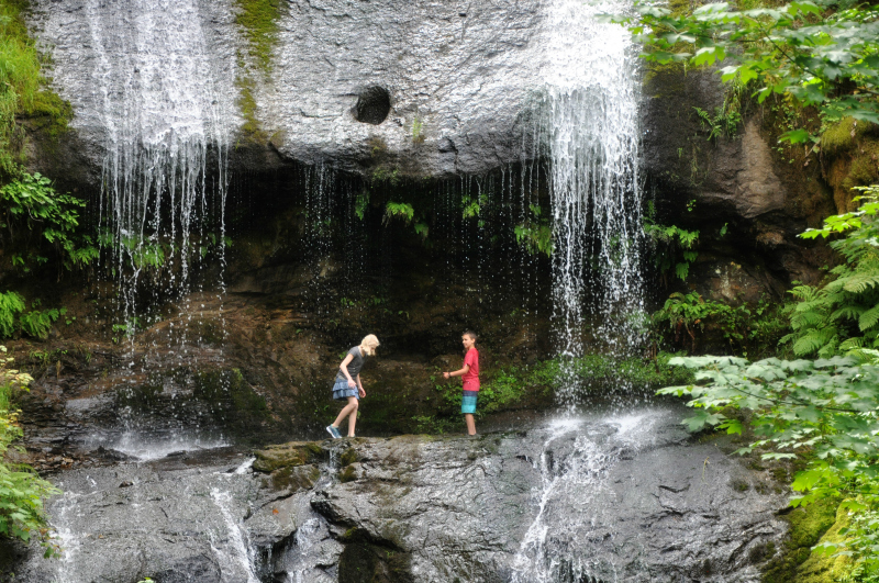 McDowell Creek Hike 3 @ Mt. Hope Chronicles