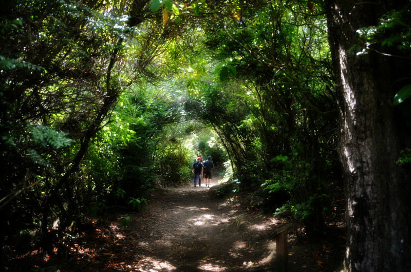 Lake Marie Trail @ Mt. Hope Chronicles