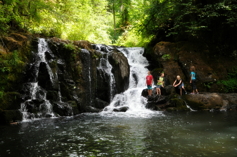 McDowell Creek Hike 4 @ Mt. Hope Chronicles